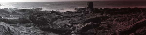 Rocky shores