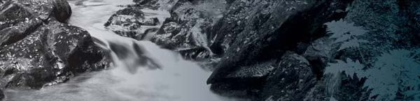 Rocky shore